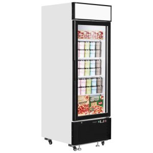 Glass Door Display Freezer
