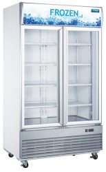 gdf1200-2-door-display-freezer